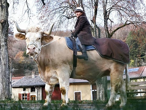 In this photograph taken on December 13, 2022 French horse trainer Sabine Rouas rides her bull "Aston" in Vieville-Sous-les-Cotes, northeastern France.