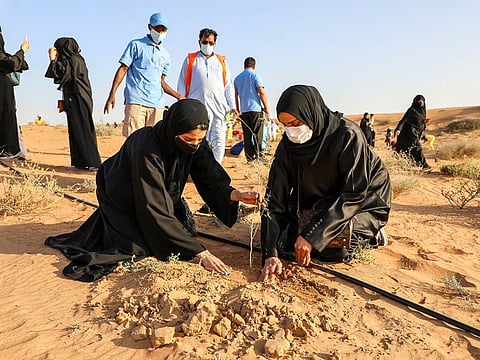 During the families’ visits to the participating reserves and centres, several activities, educational workshops and competitions were organised.