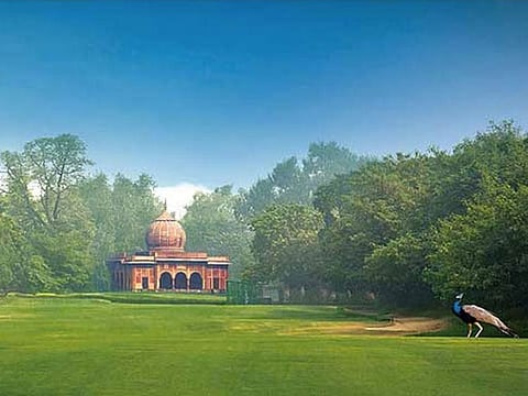 Delhi Golf Club