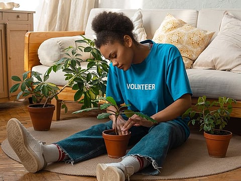 No matter the space, an urban garden is always within reach with the right equipment - we tell you how.