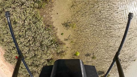 A drone's point of view as it flies over a site to air drop mangrove seeds in Abu Dhabi