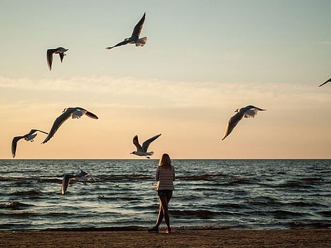 "Life is not what we dream of, wish for, the faraway, the monumental. Life is real, here, each moment that is. Life is not everything falling into place..."