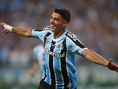 Gremio's Uruguayan forward Luis Suarez celebrates after scoring against Sao Luiz during the Brazilian Recopa Gaucha final at the Arena do Gremio stadium in Porto Alegre, Brazil.