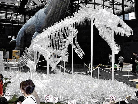 A model dinosaur skeleton made from plastic bottles is seen in the Shinjuku Sumitomo Building in Shinjuku Ward, Tokyo.