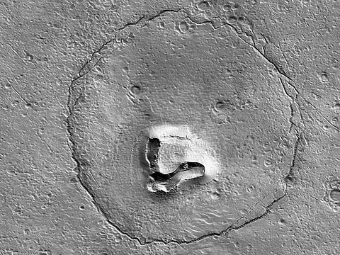 A formation on Mars that resembles a bear.