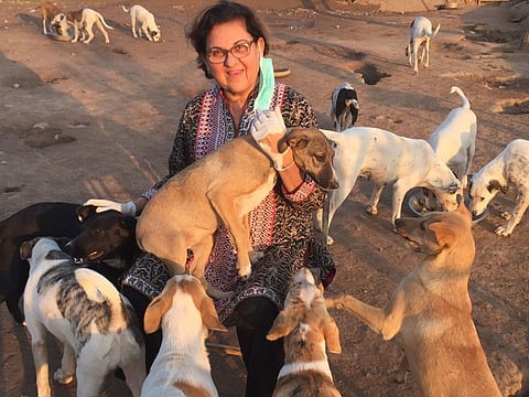 Zeba is the founder of the Lucky Animal Protection Shelter in Peshawar, the first ever animal shelter in Pakistan’s Khyber Pakhtunkhwa province