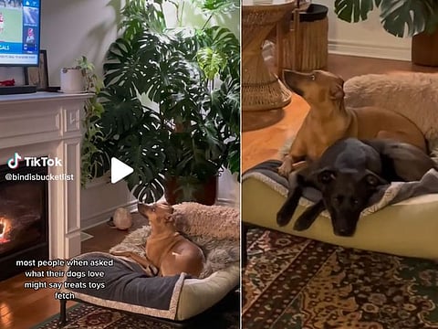 Bindi’s video received more than 2 million views on TikTok