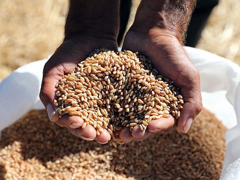 U.S. and European wheat futures dropped sharply on the news.