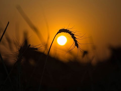 Russia wants to get the funds from its share of grain exports. That's at the root of the latest crisis.