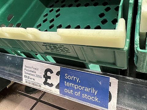 An empty tomato section at a Tesco supermarket in London.
