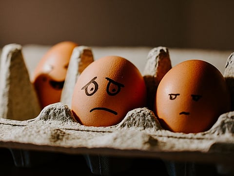 The United States fell to 24th place, its lowest score since the report was first published in 2012.