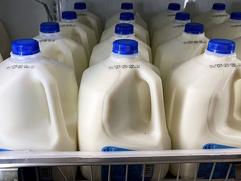 Milk is displayed at a grocery store in Philadelphia. Food and Drug Administration officials issued guidance that says plant-based beverages don’t pretend to be from dairy animals – and that US consumers aren’t confused by the difference.