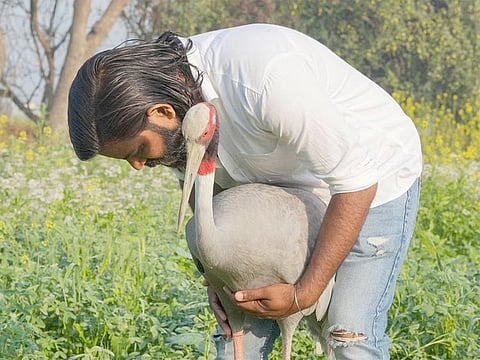 'Bachcha' the Sarus crane with its saviour Mohammed Arif.