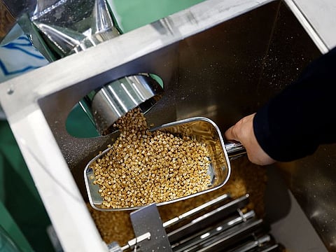 Takemitsu Iwazu, President of Biomass Resin Fukushima shows plastic pellets, that are being produced in a factory line, during an interview with Reuters at its factory in Namie, about 7 km from the crippled Fukushima Dai-Ichi nuclear plant, Fukushima Prefecture.