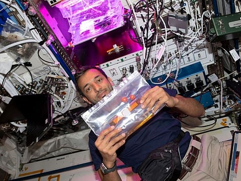 Sultan Al Neyadi is working on an ultra cold lab freezer and a compact gas analyser aboard the International Space Station (ISS).