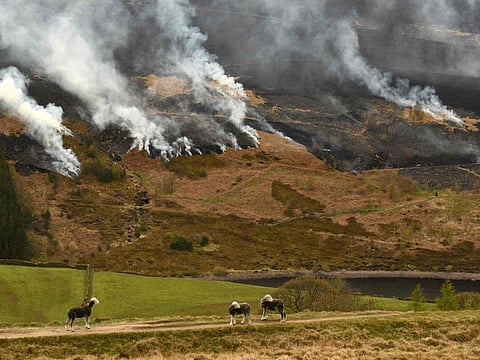 In this file photo taken on April 27, 2021 sheep graze on the hillside as smoke is seen after a resurgence of the moor fire on Marsden Moor, near Huddersfield in northern England on April 27, 2021. Earth is hotter than it has been in 125,000 years, but deadly heatwaves, storms and floods amplified by global warming could be but a foretaste as planet-heating fossil fuels put a "liveable" future at risk.