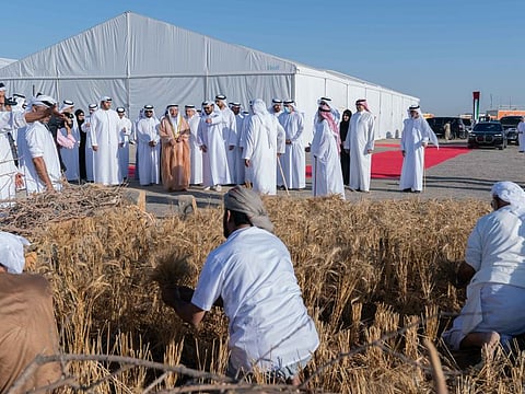 His Highness His Highness Dr Sheikh Sultan bin Mohammad Al Qasimi at the harvest