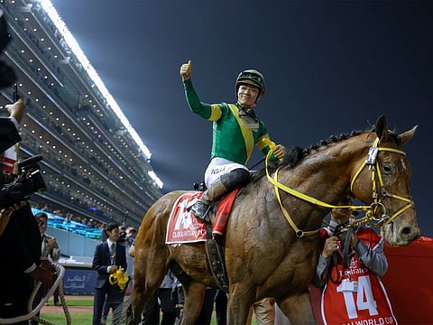 Japan's Ushba Tesoro wins Dubai World Cup race at Meydan.