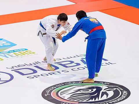 The UAE team athletes clinched 12 gold, 11 silver, and 11 bronze medals.