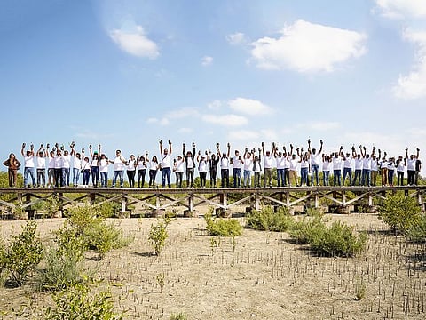 Staff of HMM Middle East Shipping participate in a mangrove-planting program