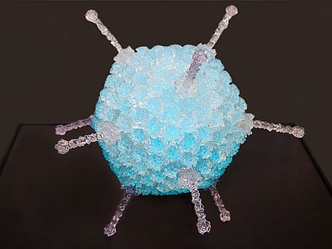 Human adenovirus (lat. Adenoviridae) blue on a dark background , adenoviruses belong to the group of acute respiratory viral infections (ARVI). Medicine, viruses , diseases.