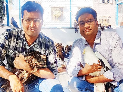 Muhammad Saud holding a black kite and Nadeem Shehzad with an Egyptian vulture in their office at New Delhi
