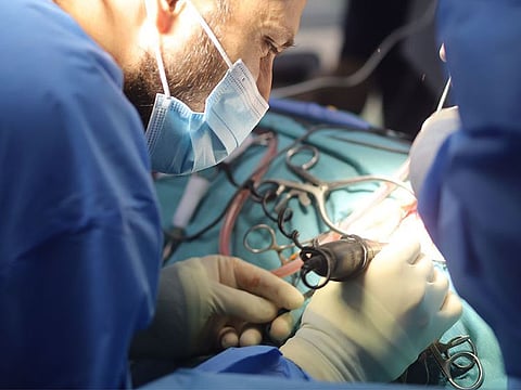 Pet undergoes specialised surgery at Modern Vet Hospital