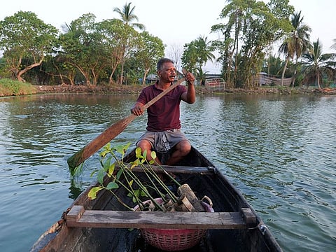 T. P. Murukesan rows a canoe stocked with mangrove saplings along a waterbody meant for prawns and pokkali rice off the shore of Vypin Island in Kochi, Kerala state, India, on March 4, 2023.