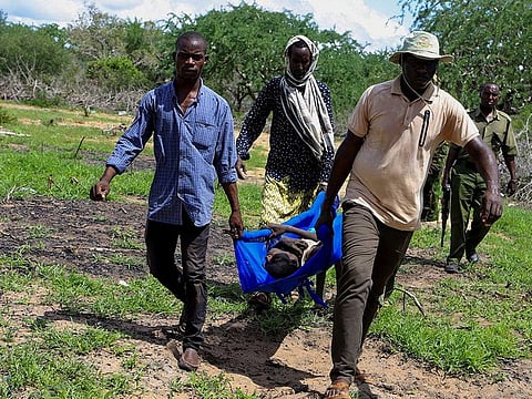 Kenya police officers and civilians rescue an emaciated child member of a Christian cult named as Good News International Church, whose members believed they would go to heaven if they starved themselves to death, in Shakahola forest of Kilifi county, Kenya April 24, 2023.