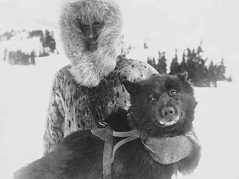 Gunnar Kaasen and with his dog Balto, the heroic dogsled team leader, sit for a portrait in the early 1920s.