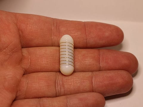 The hunger capsule developed by NYUAD researchers.