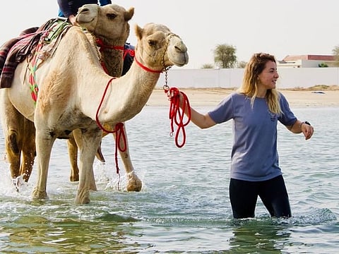 Krockenberger's passion for camels and camel riding was sparked by a 12-day camelback journey across the UAE desert