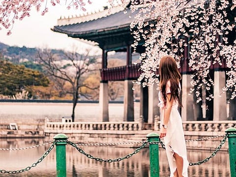 How Korean dramas sparked a cultural transformation in my Dubai office