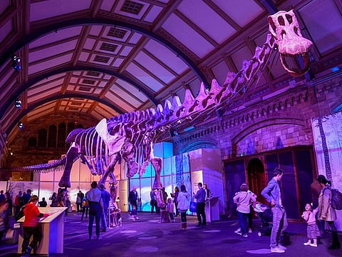 Museum visitors walk beneath the skeleton of Patagotitan mayorum as it goes on display as part of the new 'Titanosaur: Life as the Biggest Dinosaur' exhibit at Natural History Museum in London, Britain April 1, 2023.