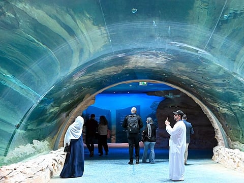 The facility is home to 100,000 animals from 150 species