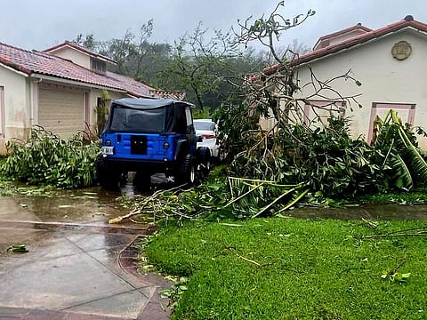 Downed tree branches litter a neighborhood in Yona, Guam.