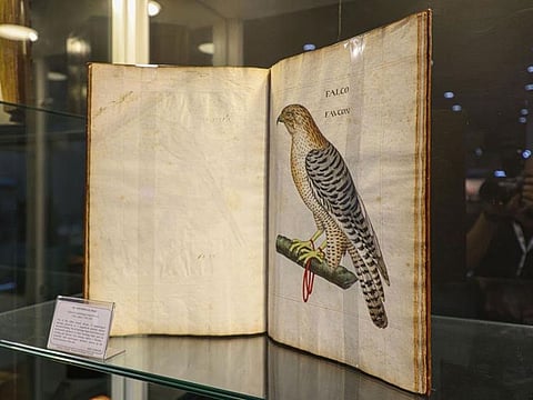 The book's 50 sheets depict birds found in Europe during the Renaissance era