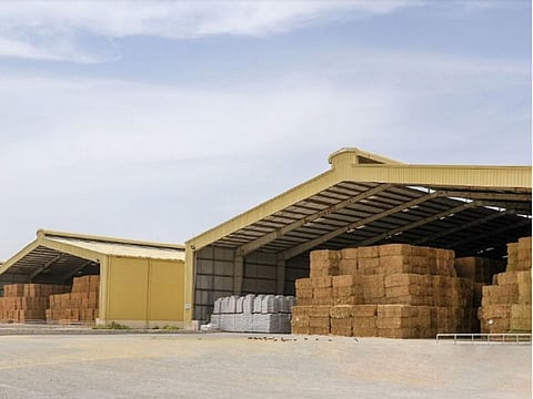 Located near livestock farms (Ezbah), the Abu Dhabi Fodder Market is linked to a group of existing regular markets, in addition to an online platform for trading feed available to all companies in the UAE.
