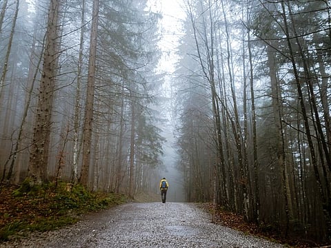 Preserving Fragile Ecosystem - Vital Concern