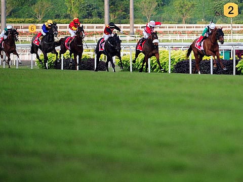 More than 180 years of horse racing in Singapore is set to come to an end with its final race in October 2024.