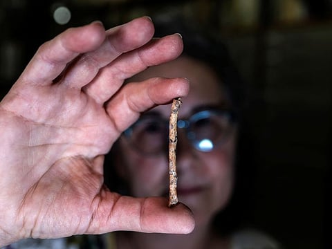 A researcher holds up a miniature flute, which scientists believe was crafted 12,000 years ago from bird bones and may have been used for bird calls, at the Hebrew University of Jerusalem, in Jerusalem, June 11, 2023.