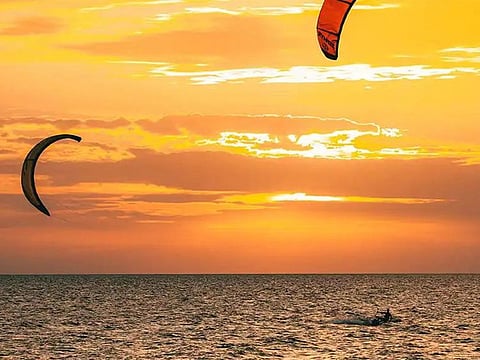 Dubai Municipality has completed a Dh93m to rehabilitate beaches