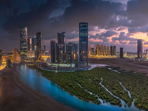 Mangroves around the city of Abu Dhabi. Mangroves are known to protect coasts from erosion. They also play a key role in carbon capture, and are home to a series of birds and animals.