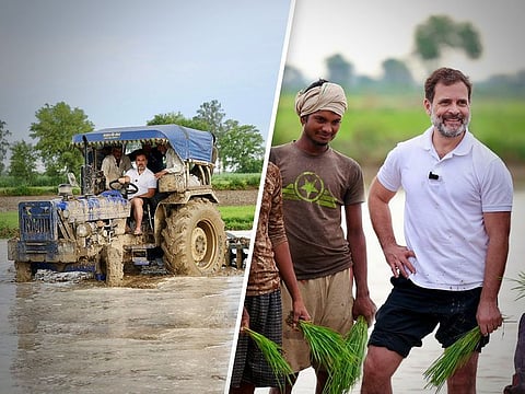 Rahul Gandhi joins the farmers in tilling the field and planting paddy saplings in Haryana. The Congress leader has been creating photo-ops around India, inserting himself in the lives of ordinary people to shed the elitist tag and project the image of a common