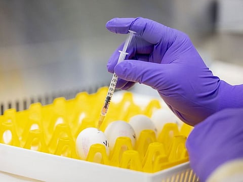 All shipments would be allowed provided that they were slaughtered or produced on or before May 9.