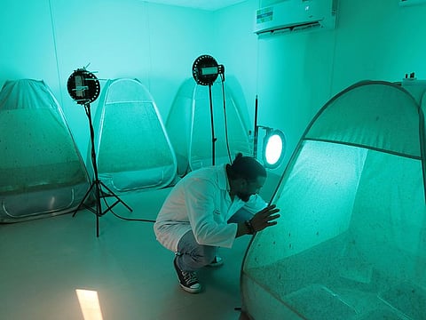 Stefan Lindeque | Special to Reach by Gulf News