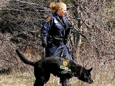 A Suffolk County Police Department officer and dog search the Gilgo Beach area on New York's Long Island for human remains, March 29, 2011.