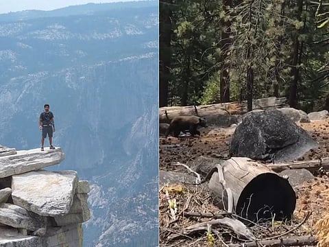 Sheikh Hamdan hikes at Yosemite National Park