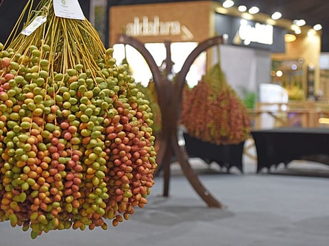 The 19th edition of the Liwa Date Festival kicked off on Wednesday, July 19, in Liwa, Al Dhafra Region