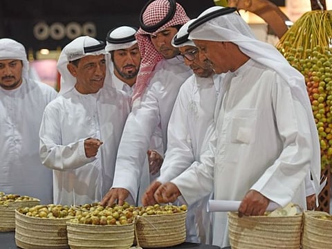 The third edition of the Liwa Date Festival and Auction, opens on Friday, Oct. 11 at the Zayed City, Al Dhafra. File photo